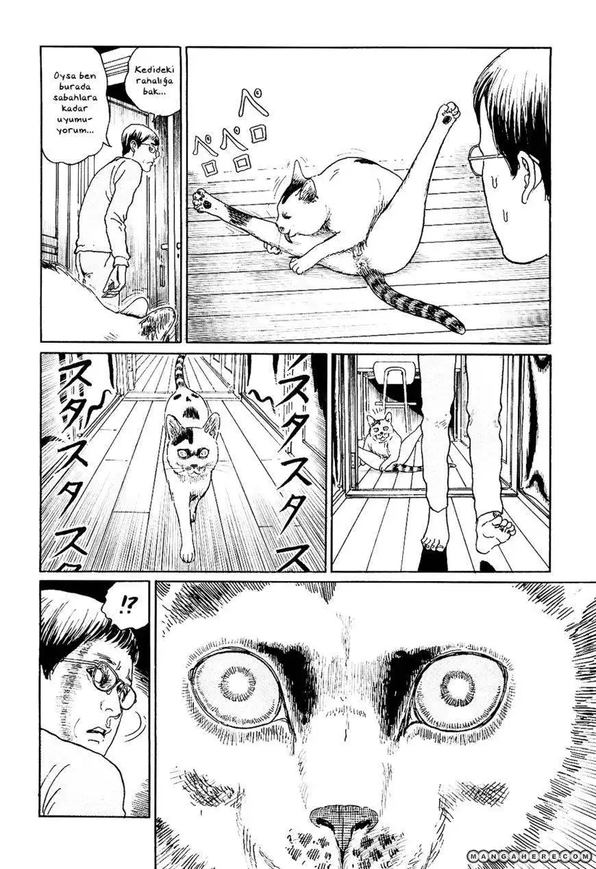 Ito Junji's Cat Diary Chapter 5 4